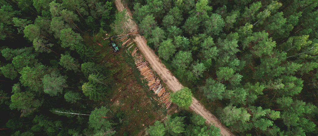 Flygbild skogsväg